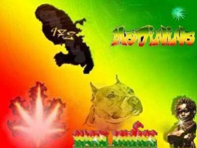 madinina style 972 malade!!!!!!!!!!!!!!!!
