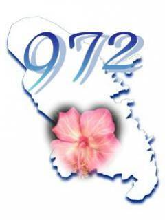 madinina style l'ile o fleur!!!!!!!!!!!!!!!!!